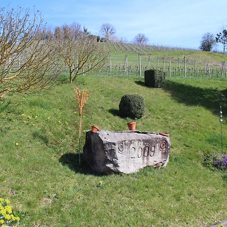 Ferienwohnung Am Weinberg Oberkirch  Luaran gambar