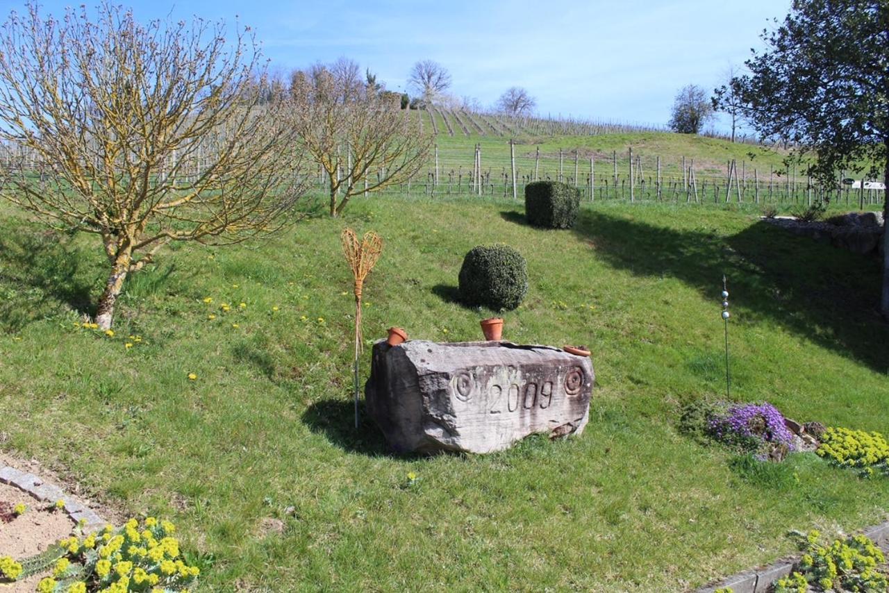 Ferienwohnung Am Weinberg Oberkirch  Luaran gambar